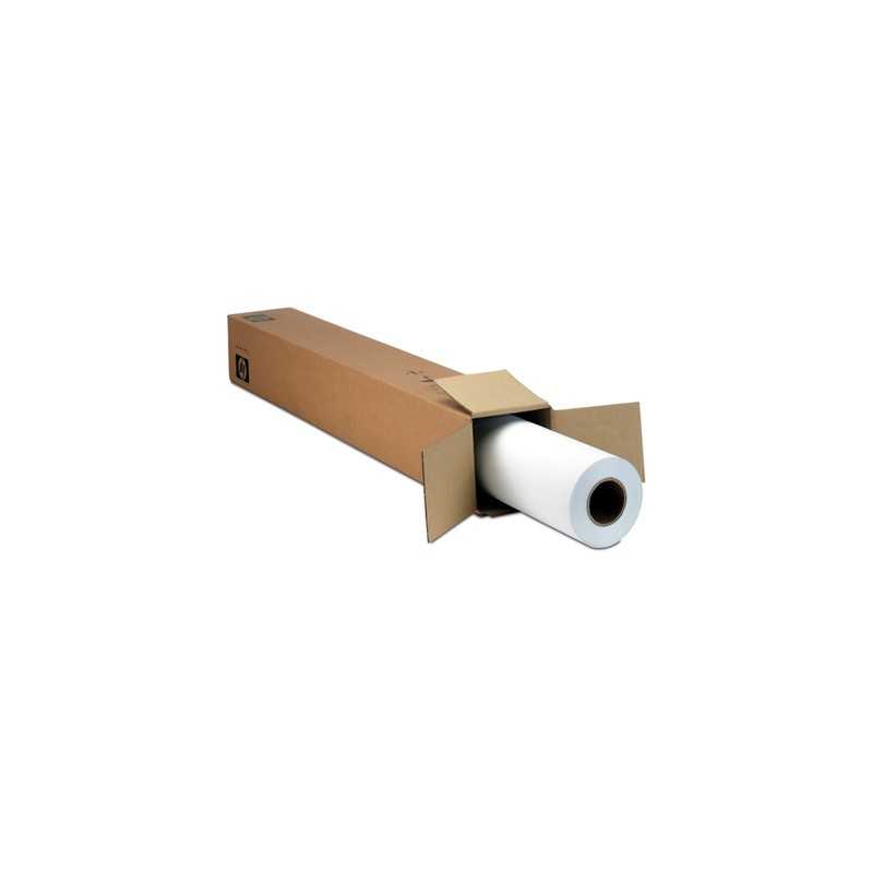 HP papel rollo heavyweigth coated 54-In 100Ft C6570C