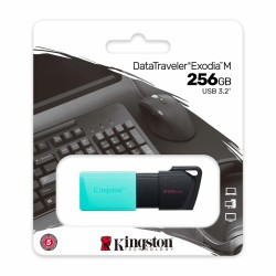 Kingston memoria exodia menta con negro 256GB usb 3.2 DTXM