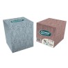 Amoos pañuelos faciales de papel desechable cubo cosmetico 70 X 2 capas caja de 24unds - F622701